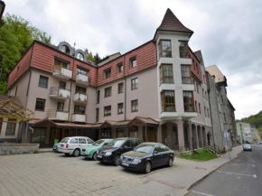Snug Apartment in Jachymov near Ski area